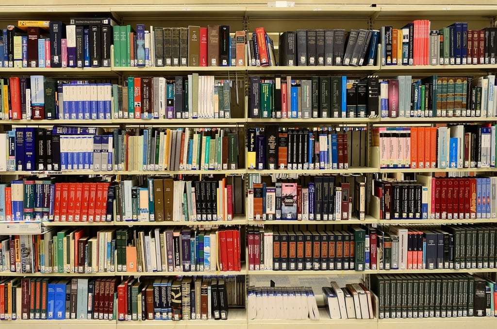 Lesenswert: Bestseller und Klassiker